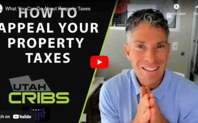 What You Can Do About Property Taxes